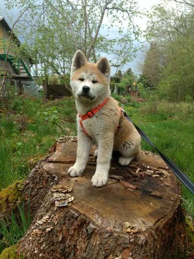 Sie werden so schnell erwachsen ...-Beitrag-Bild