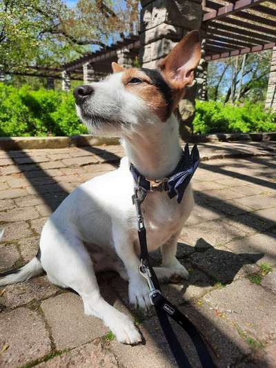 Lieblingsbild :D-Beitrag-Bild