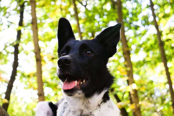 Zeigt eure Portraits-Beitrag-Bild