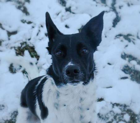 Der erste Schnee, zeigt uns eure tollen Schneemomente-Beitrag-Bild