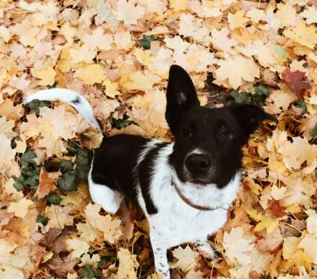 Von oben-Beitrag-Bild