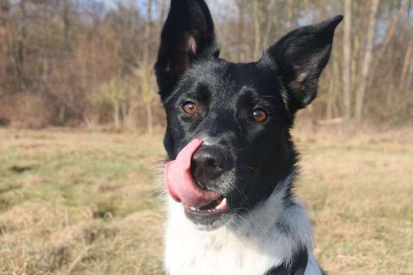 Tongue Out Tuesday-Beitrag-Bild