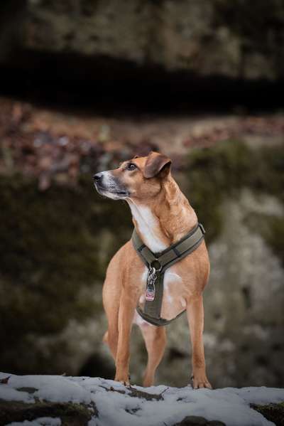 Lieblings Fotos-Beitrag-Bild