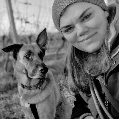 Hundetreffen-Hundebegeisterte gesucht