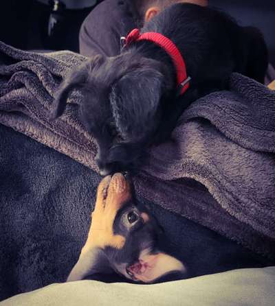 Zeigt eure Portraits-Beitrag-Bild