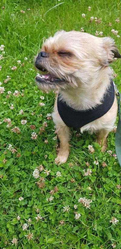 Immer lächeln !-Beitrag-Bild