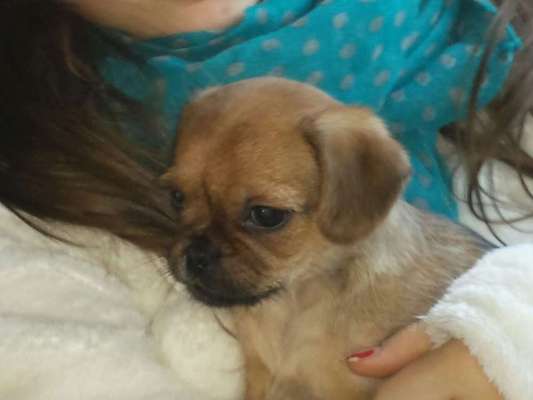 Vorher.... Nachher-Beitrag-Bild