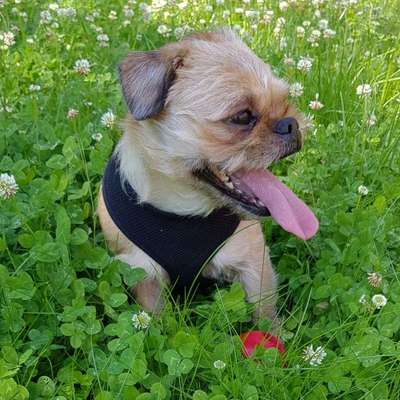 Vorher.... Nachher-Beitrag-Bild