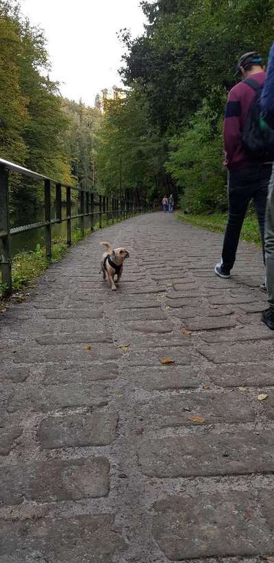 Postet eure schönsten Bilder von Spaziergängen in 2020!-Beitrag-Bild