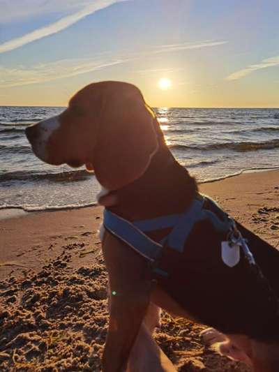 Fotochallenge Nr.100 Urlaubsimpressionen-Beitrag-Bild