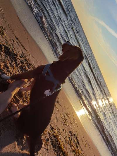 Fotochallenge Nr.100 Urlaubsimpressionen-Beitrag-Bild