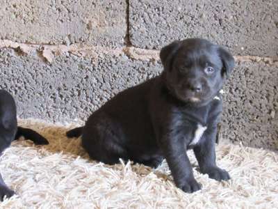 Vorher.... Nachher-Beitrag-Bild