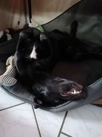 Die unbequemsten und lustigsten Schlafpositionen-Beitrag-Bild