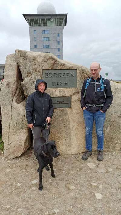 Dogorama Photo Challenge - Tierischer Urlaub-Beitrag-Bild