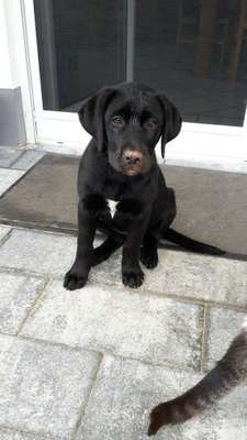 Vorher.... Nachher-Beitrag-Bild