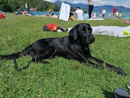 Vorher.... Nachher-Beitrag-Bild