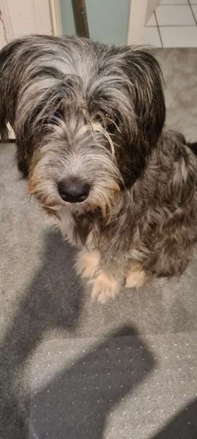 Gibts hier Mioritic Besitzer?-Beitrag-Bild