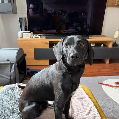 Ohrenentzündung?-Beitrag-Bild