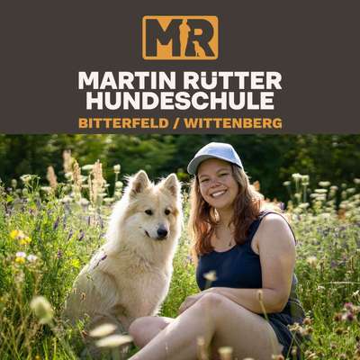 Hundeschulen-Martin Rütter Hundeschule Bitterfeld / Wittenberg-Bild