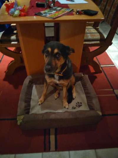 Doppelgänger gesucht !-Beitrag-Bild