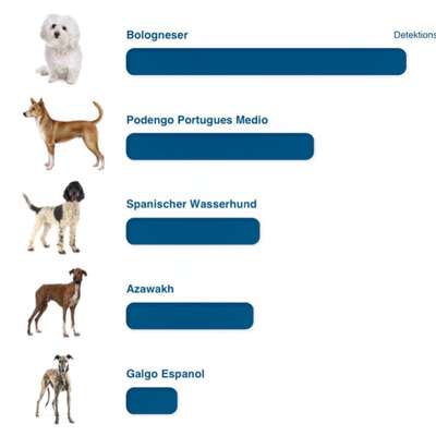 DNA-Tests-Beitrag-Bild