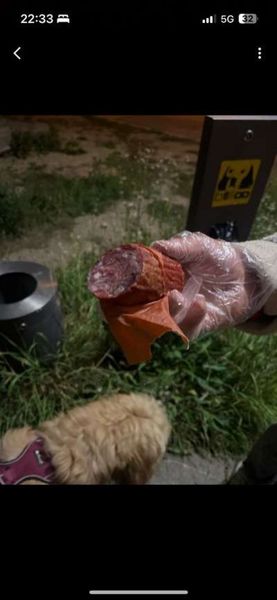 Giftköder-Vermutlich ein Giftköder! Vorsicht!-Bild