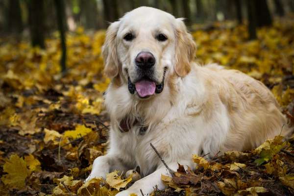 Lieblingsbild-Beitrag-Bild