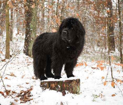 Austausch zur Fotografie-Beitrag-Bild