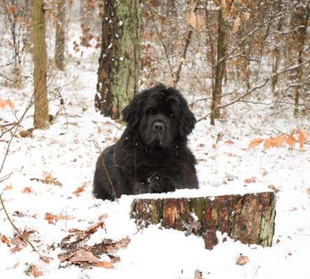 Austausch zur Fotografie-Beitrag-Bild