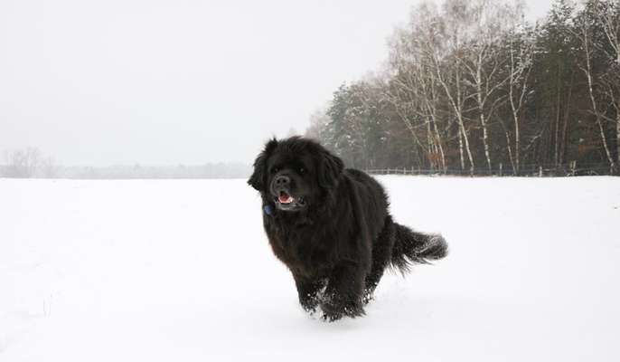 Austausch zur Fotografie-Beitrag-Bild
