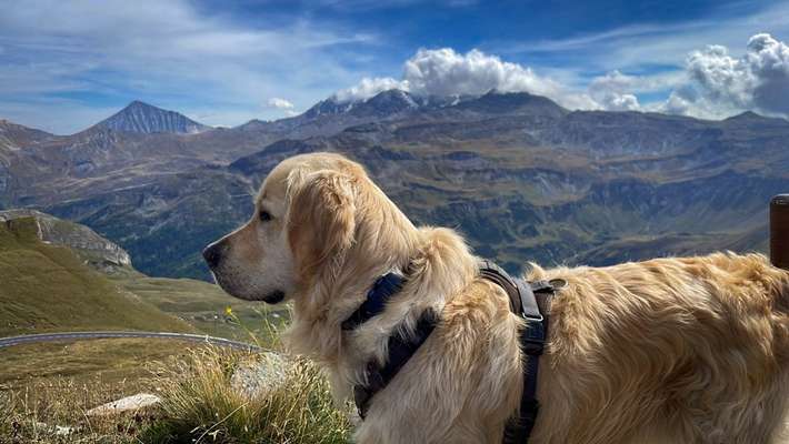 Fotochallenge Nr 107-Beitrag-Bild