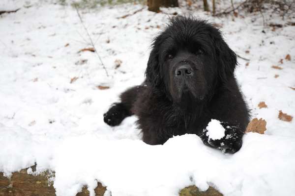 Austausch zur Fotografie-Beitrag-Bild