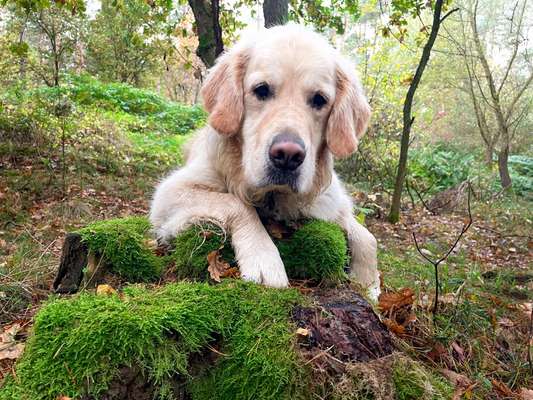 27. Handy Fotochallenge-Beitrag-Bild