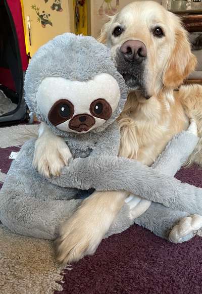 Der Lieblingsplüschi eures Vierbeiners-Beitrag-Bild