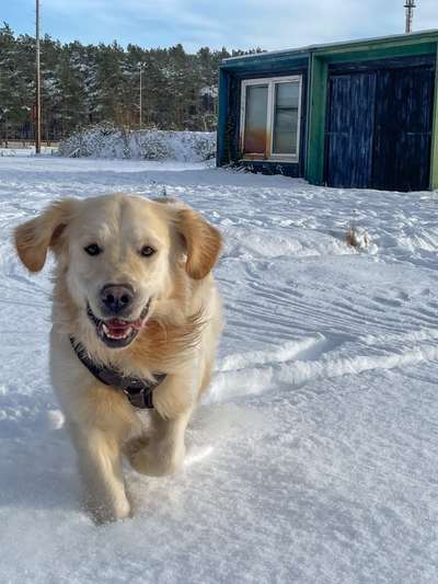 Fotochallenge 61 ~ Schnee-Beitrag-Bild