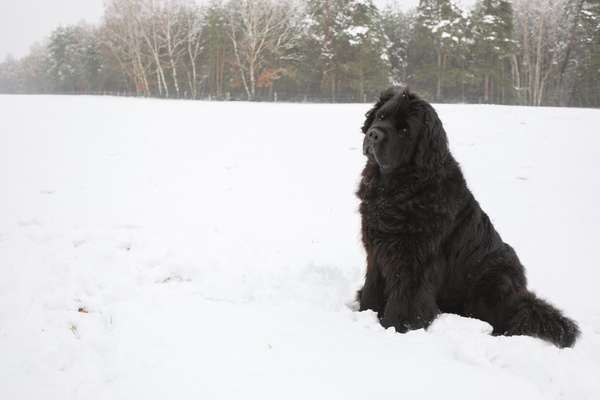 Austausch zur Fotografie-Beitrag-Bild