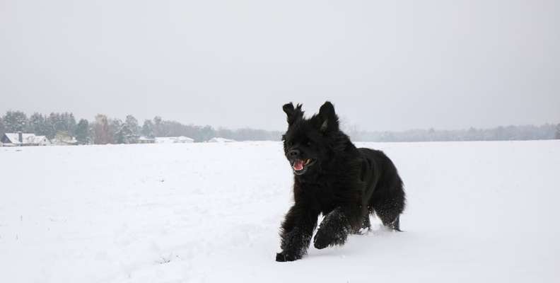 Austausch zur Fotografie-Beitrag-Bild