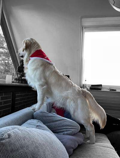 It's beginning to look a lot like.....-Beitrag-Bild