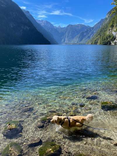 Fotochallenge Nr.100 Urlaubsimpressionen-Beitrag-Bild