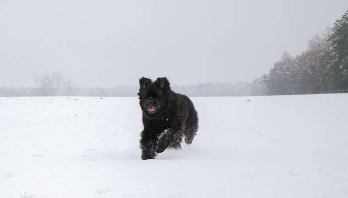Austausch zur Fotografie-Beitrag-Bild
