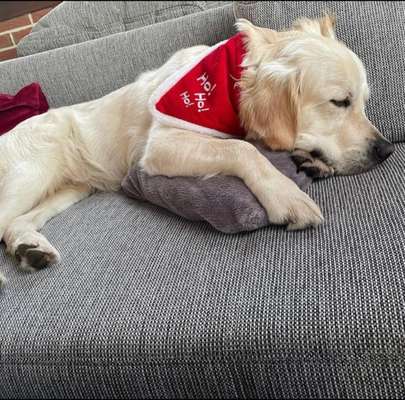 It's beginning to look a lot like.....-Beitrag-Bild