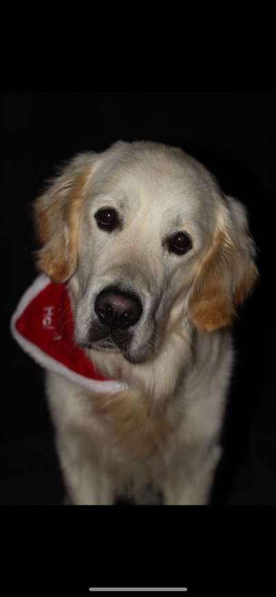 It's beginning to look a lot like.....-Beitrag-Bild