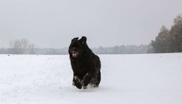 Austausch zur Fotografie-Beitrag-Bild