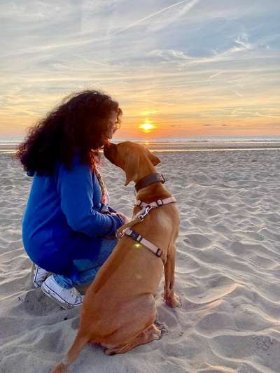 65. Handy Foto Challange                     "Ich kann nicht ohne..."-Beitrag-Bild