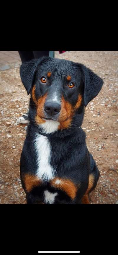 Ist das ein...?-Beitrag-Bild