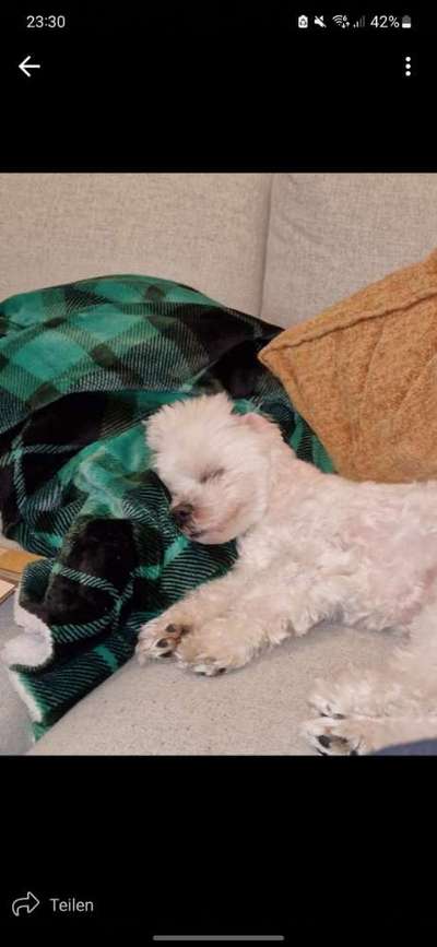 Foto Challenge Nr. 134-Beitrag-Bild