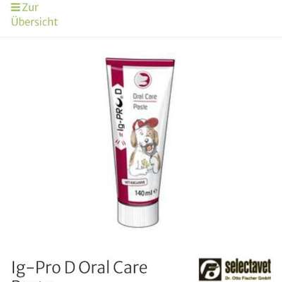 🦷 Was hältst du vom Zähneputzen beim Hund – notwendig oder überschätzt?-Beitrag-Bild