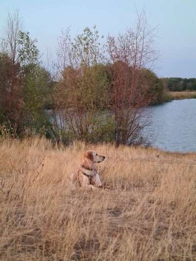 Theos Fotochallange Nummer 4-Beitrag-Bild