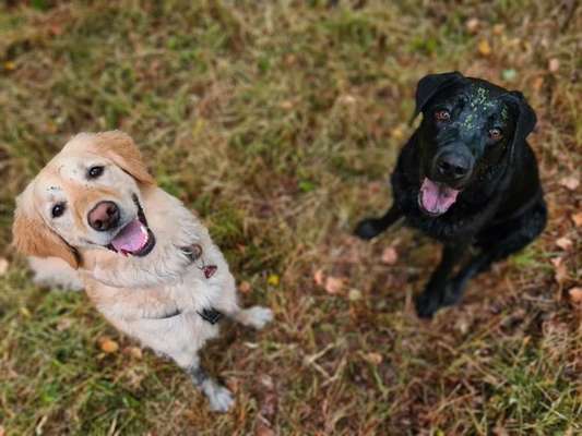 Handy-Foto Challange Nr. 10-Beitrag-Bild