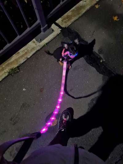 Dunkle Jahreszeit, Sichtbar machen-Beitrag-Bild